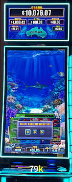 APP oficial da 79k para mobile